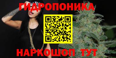 mdma Бердск